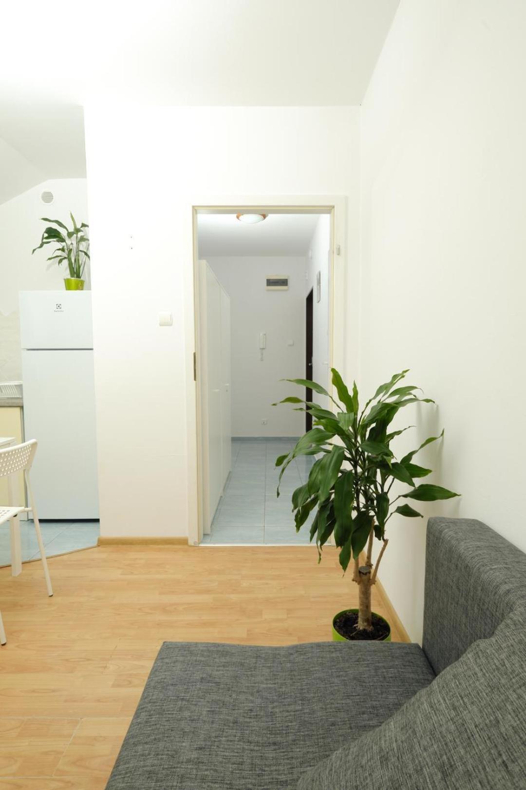 דירות אופולה Apartament Sloneczny 7 מראה חיצוני תמונה